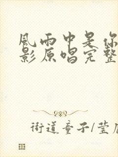 风雨中是你的身影原唱完整版