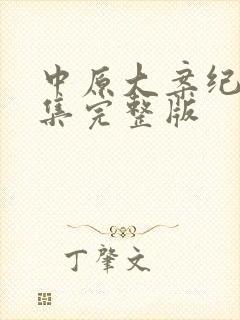 中原大案纪实全集完整版封面