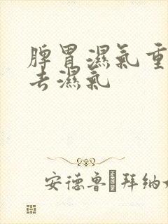 脾胃湿气重如何去湿气