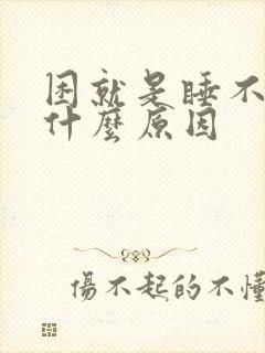 困就是睡不着是什么原因