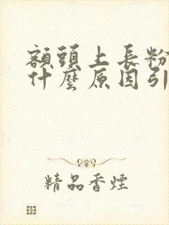 额头上长粉刺是什么原因引起的封面