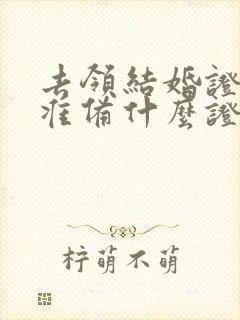 去领结婚证需要准备什么证件封面