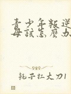 青少年叛逆期父母该怎么办封面