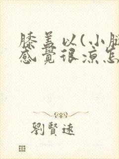 膝盖以(小腿)感觉很凉怎么办封面