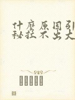 什么原因引起便秘拉不出大便