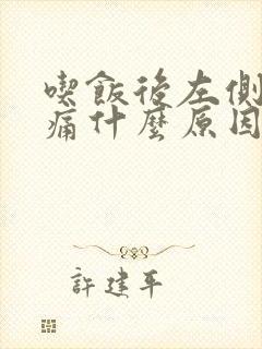 吃饭后左侧腹部痛什么原因