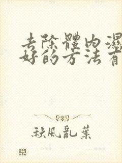 去除体内湿气最好的方法有哪些