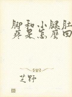 脚和小腿肚子酸疼是怎么回事