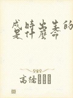 戌时出生的男孩是什么命