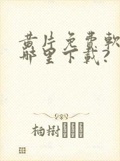 黄片免费软件在哪里下载?封面