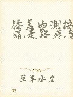 膝盖内测按压疼痛,走路疼,弯曲疼