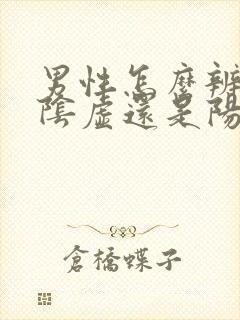 男性怎么辨别肾阴虚还是阳虚