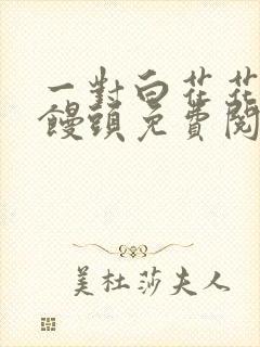 一对白花花的大馒头免费阅读封面