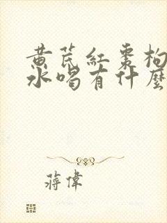 黄芪红枣枸杞煮水喝有什么功效