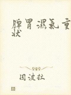 脾胃湿气重的症状