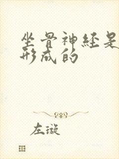 坐骨神经是怎样形成的封面