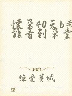 怀孕40天b超能看到孕囊多大