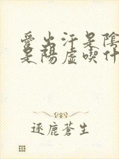 爱出汗是阴虚还是阳虚吃什么药好