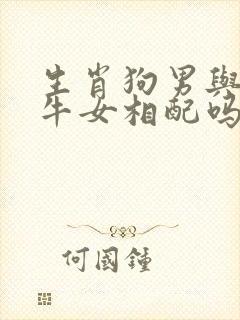 生肖狗男与生肖牛女相配吗封面