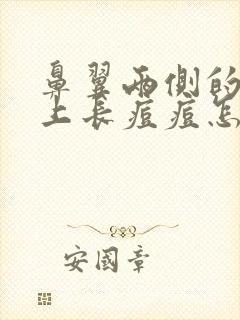 鼻翼两侧的脸颊上长痘痘怎么办