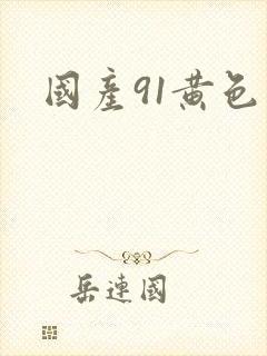 国产91黄色片封面