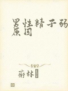 男性精子弱什么原因