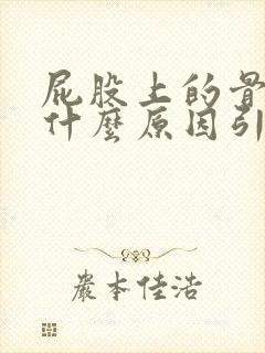 屁股上的骨头痛什么原因引起的