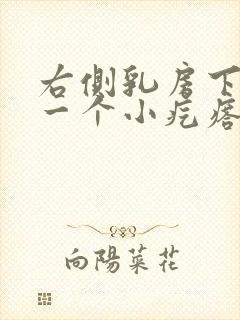 右侧乳房下面有一个小疙瘩,摸着有点疼?