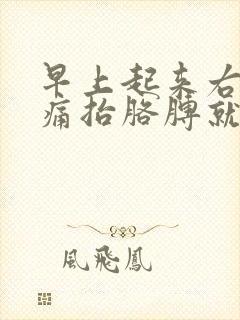 早上起来右肩膀痛抬胳膊就疼封面