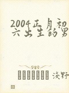 2004正月初六出生的男孩命