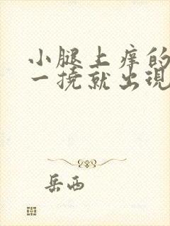 小腿上痒的很,一挠就出现一片红疹子