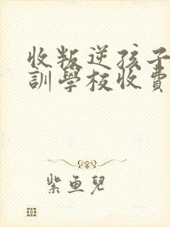 收叛逆孩子的特训学校收费多少