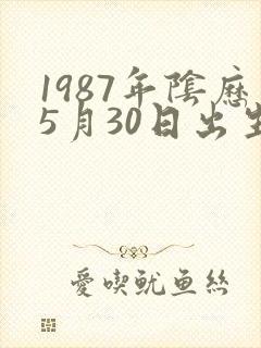 1987年阴历5月30日出生命运