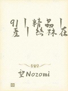 91丨精品丨国产丨丝袜在线观看
