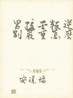 男孩子叛逆期特别严重怎么办封面