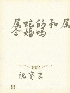 属蛇的和属猴的合婚吗