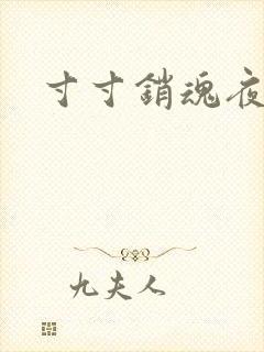 寸寸销魂夜春光封面
