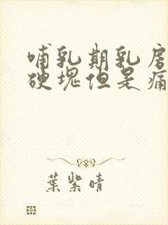 哺乳期乳房没有硬块但是痛