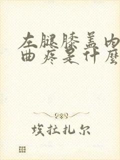 左腿膝盖内侧弯曲疼是什么原因封面