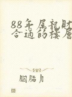 88年属龙财运合适的楼层