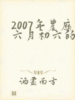2007年农历六月初六的男命封面