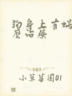 狗身上有螨虫怎么治疗封面