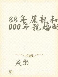 88年属龙和2000年龙婚配封面