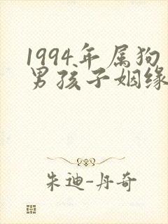 1994年属狗男孩子姻缘2022封面