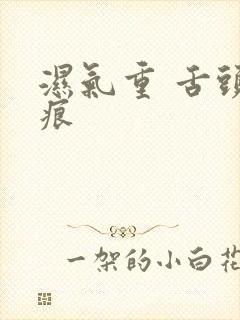 湿气重 舌头齿痕封面