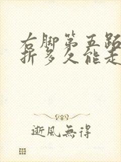 右脚第五跖骨骨折多久能走路封面