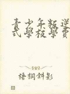 青少年叛逆封闭式学校学费