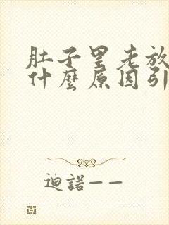 肚子里老放屁是什么原因引起的