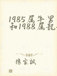 1985属牛男和1988属龙女结婚