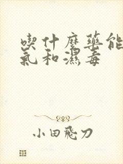 吃什么药能去湿气和湿毒封面